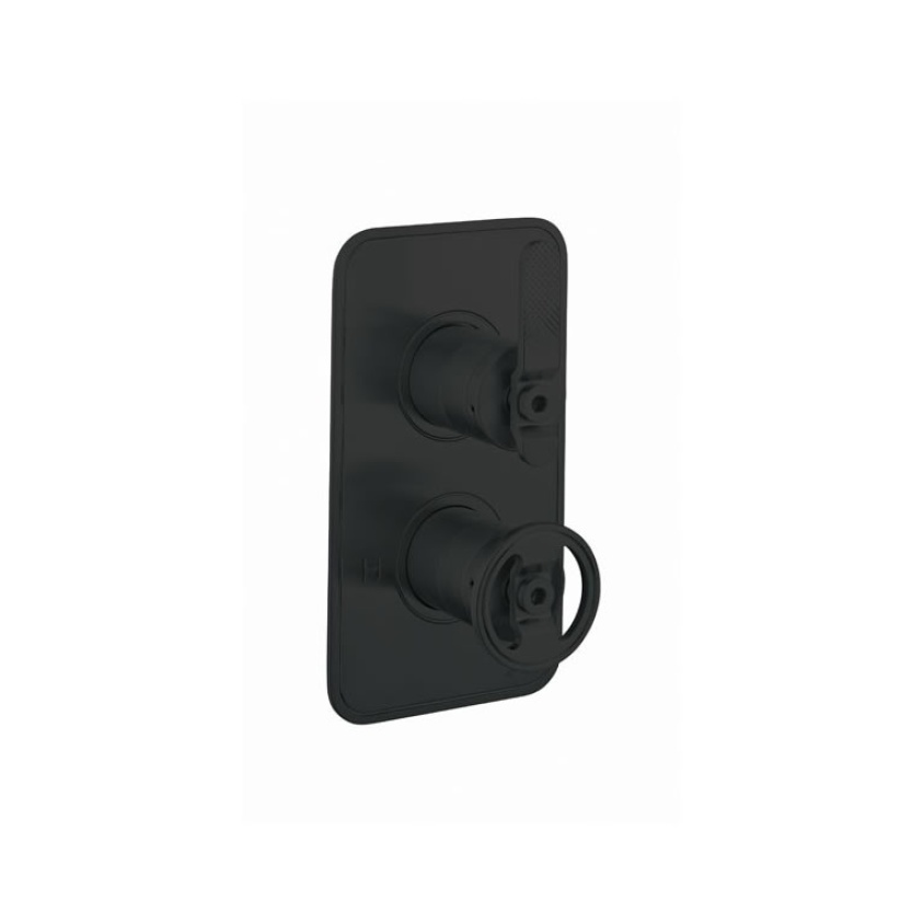 Cutout image of Crosswater UNION Matt Black Single Shower Valve